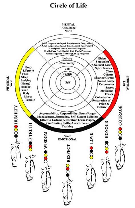 The circle of life meaning - bplalaf