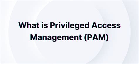 What Is Privileged Access Management Pam Axiom Security