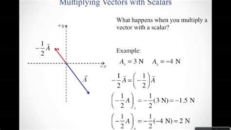 Vector And Scalar Multiplication at Nicholas Petterson blog