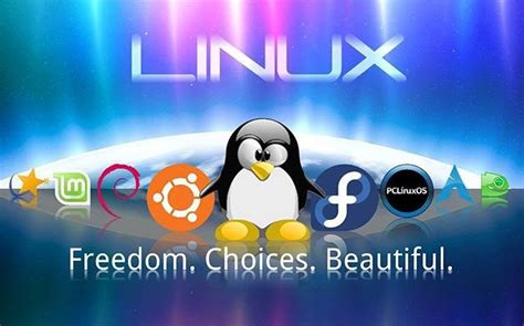 Linux ca stil de viaţă - Despre Linux