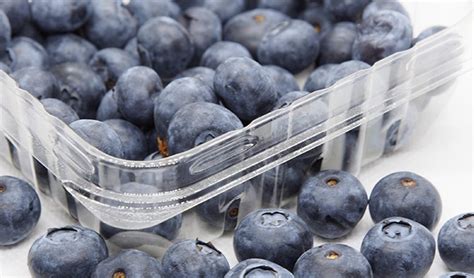 Manejo De La Nutrici N Para Aumentar La Vida De Postcosecha En El