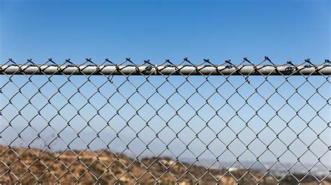 Fence Constructions Along Latvia-Belarus Border Near End, Latvian ...