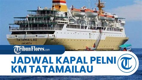 Info Jadwal Kapal Pelni KM Tatamailau Juli 2024 Rute A Berlabuh Di