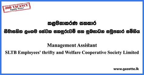 Management Assistant Vacancies In Government 2023 Gazettelk