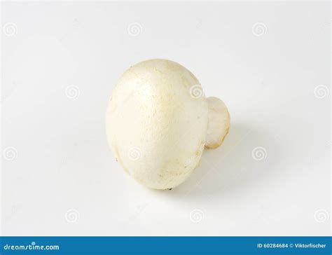 White Button Mushroom Stock Photo Image Of Cultivated 60284684