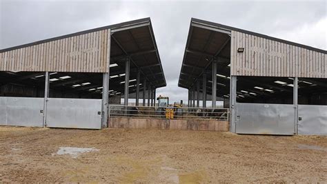 Whats In Your Livestock Shed Visits A £200k Suckler Shed Farmers Weekly