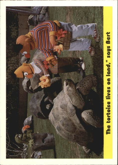 1992 Ctw Sesame Street 91 The Tortoise Lives On Land Nm Mt