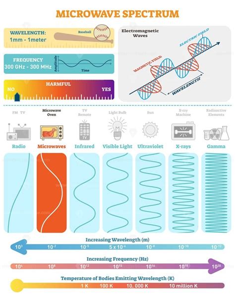 Electromagnetic Waves: Microwave Spectrum - VectorMine