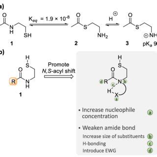 Rearrangement Of N 2 Mercaptoethyl Amides Into Thioesters A The