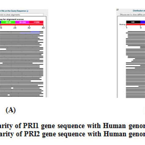 In Silico Prediction Of Riboswitches And Design Of Their Potent