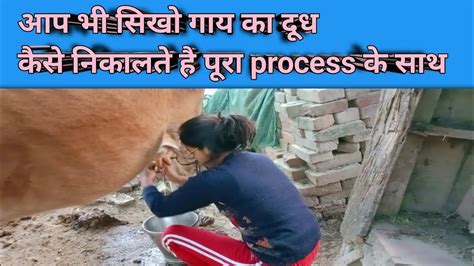 सिखलो गाय का दूध निकालना 🥛 Cow 🐄 Milking By Beautiful Girl 😍 ️