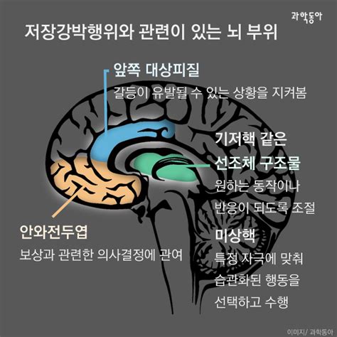 전문 용어까지 만들어졌을 정도로 정신과 의사들이 규정한 정신 질환 미스터리공포 에펨코리아