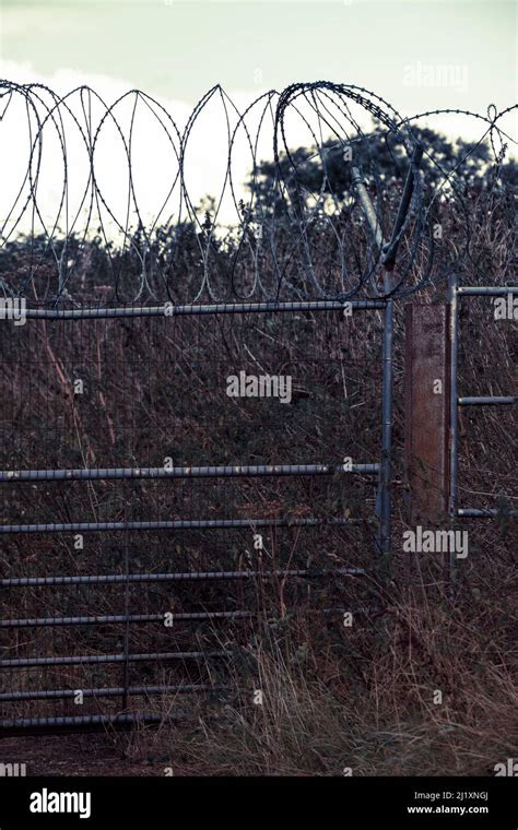 A High Security Fence With Razor Wire And Barbed Wire Across The Top