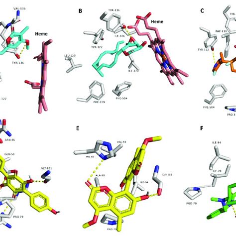 Predicted Binding Modes Of Compounds And A B Respectively