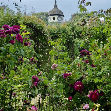 Rousham House and Garden – The Oxford Magazine