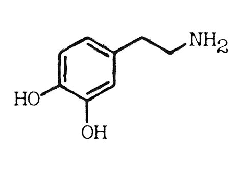 Dopamine Wijn En Ik