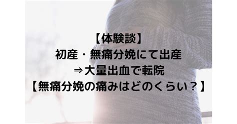 【体験談】初産・無痛分娩にて出産⇒大量出血で転院【無痛分娩の痛みはどのくらい？】 お気楽ママの忘備録