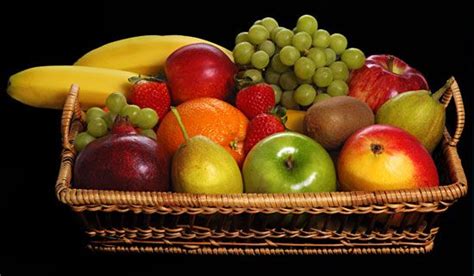 fruit kids britannica kids homework