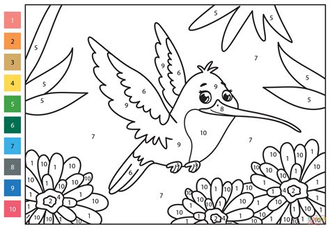 Hummingbird Color By Number Free Printable Coloring Pages