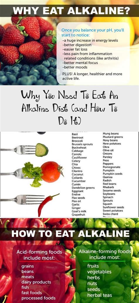 Printable List Of Alkaline Foods