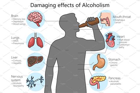 harmful effects of alcohol human body | Creative Market