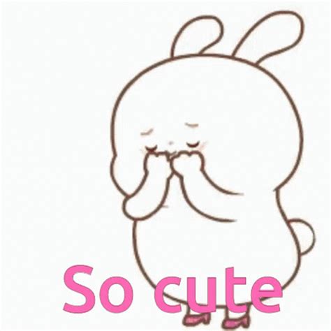 explore  collection  lovely  cute gif images   occasion