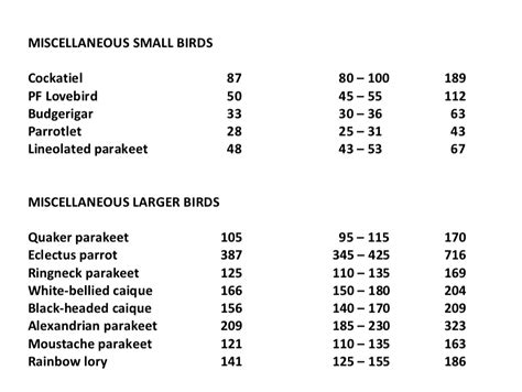 Eclectus Parrot Life Ultimate Parrot Dieting Technique