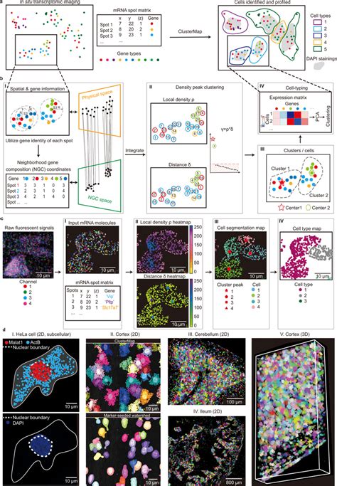 Clustermap Multi Scale Spatial Clustering Analysis Of In Situ Download Scientific Diagram