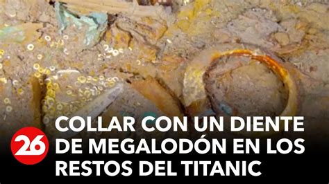 Hallan Un Collar Con Un Diente De Megalodón En Los Restos Del Titanic