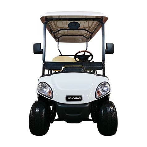 China 2 Seater Electric Golf Cart with Lithium Battery Supplier ...