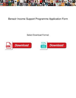 Fillable Online Benazir Income Support Programme Application Form