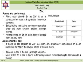 Functions and deficiency of Iron, boron and zinc | PPT