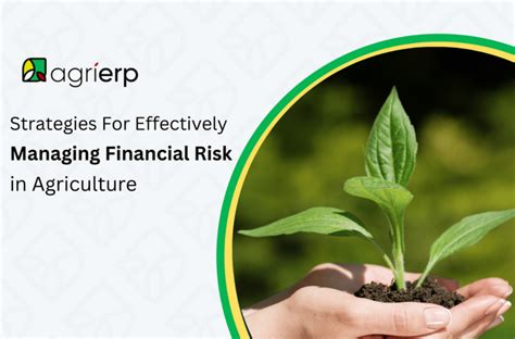 financial risk management  agriculture