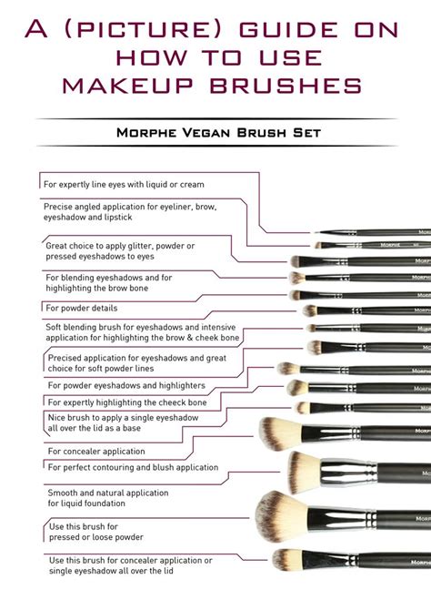 Ultimate Brush Guide Makeup Brush Uses How To Use Makeup Makeup Brushes Guide