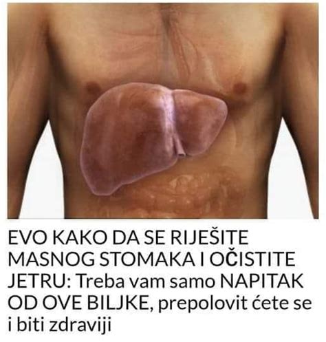 EVO KAKO DA SE RIJEŠITE MASNOG STOMAKA I OČISTITE JETRU Treba vam samo