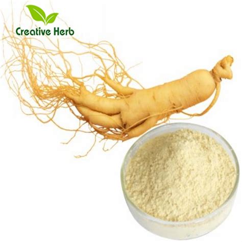 Buy High Purity Chinese Herb Panax Ginseng Extract Ginsenoside Powder