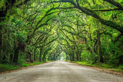 Botany Bay Road Photograph By Jason Frye Pixels