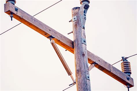 Postes El Ctricos Y Telefon A Grupo Forestal Venta De Madera