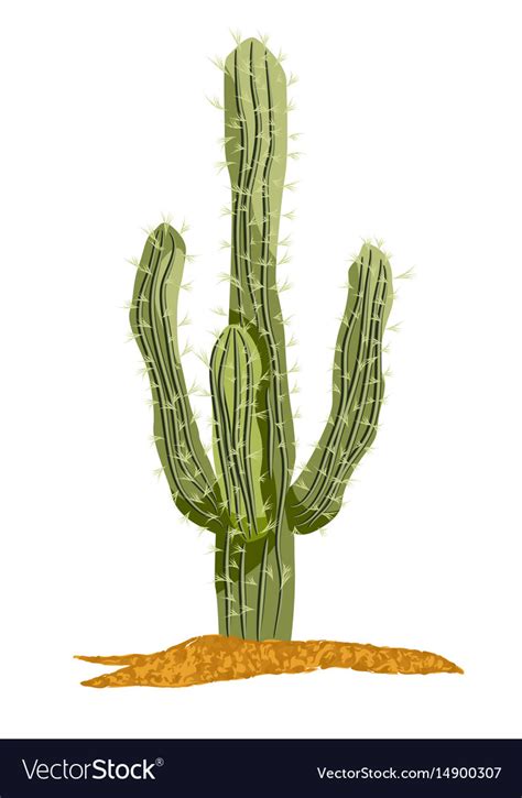 Saguaro cactus Royalty Free Vector Image - VectorStock