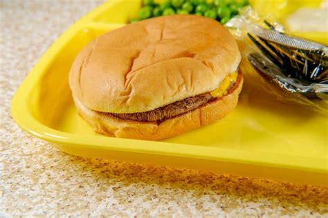 School Lunch Tray Cheeseburger Stock Image - Image of fast, hamburger ...