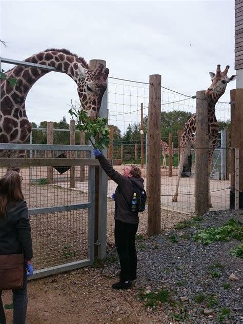 Twycross Zoo (@TwycrossZoo) | Twitter