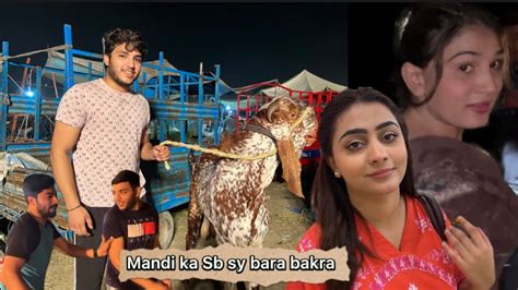 Mandi Ka Sab Sy Bara Bakra😯eid Ul Adhadailyvlogale Sheikhvlog105