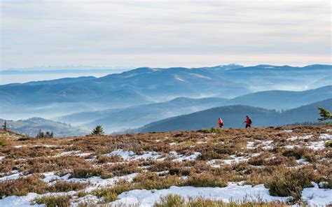 Le Massif Des Vosges En Hiver La Terre Est Un Jardin