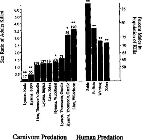 Figure 1 From Sex‐biased Harvesting And Population Dynamics In