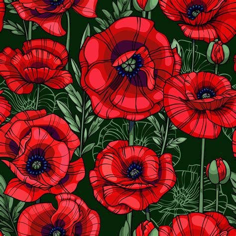 Scarlet Red Poppies Flowers Leaves And Stems Seamless Vector Pattern