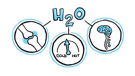 TED-Ed - Gifs worth sharing — 10 Facts About Water + Your Body