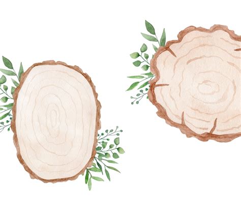 Wood Slices Watercolor Clipart Rustic Wood Slice Clipart Etsy