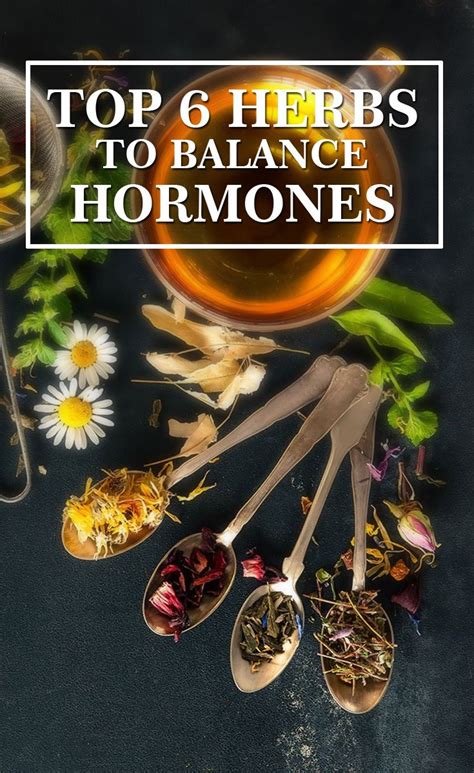 Top Herbs To Balance Your Hormones The Organic Cure Healthy Facts