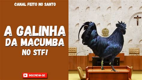 Macumba Com Galinha O Que Significa - O grande problema, é a "Galinha" da macumba! #umbanda # ...
