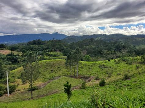 Solar En Venta En Jarabacoa Jarabacoa La Vega U D